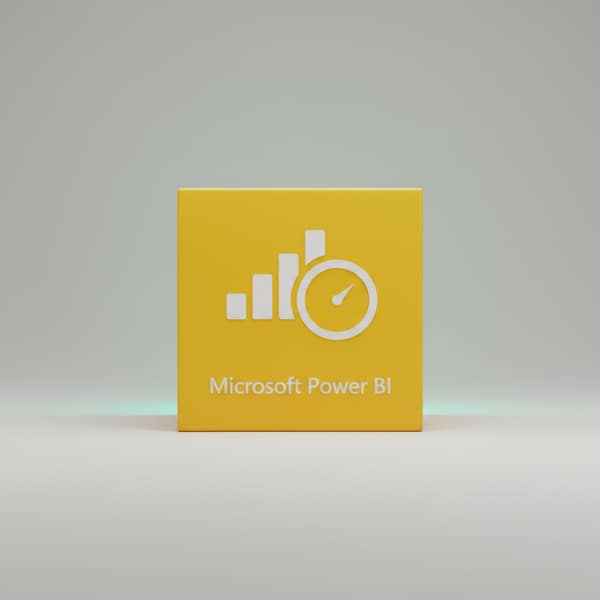 Power BI Standard / Pro Account