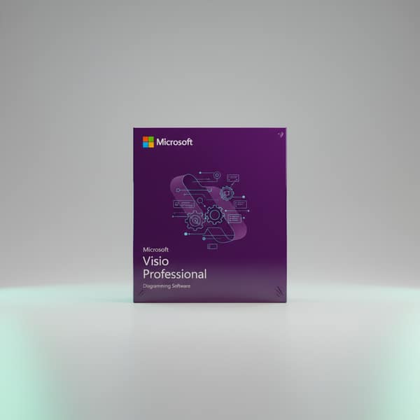 Ms Visio Professional 2021/2019/2016